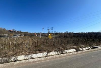 Teren intravilan 2700 mp, deschidere 41 ml, Movilita – Vrancea - 1