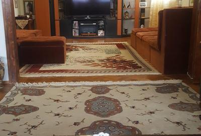 Vanzare vila zona Titulescu cu trei apartamente piscina garaj  gradina foisor - 7