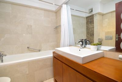 INCHIRIERE APARTAMENT 2 CAMERE UNIRII-MIRCEA VODA - 17