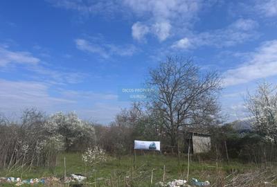 Teren agricol intravilan de 4967 mp, în Nord