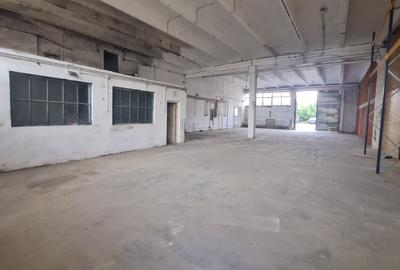 Spațiu industrial, 470 mp în Vest