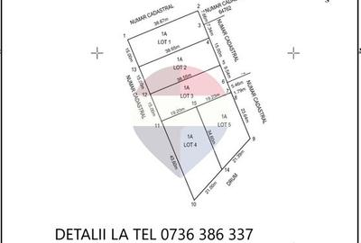 Teren intravilan 3059 mp, dubla deschidere, Mogosoaia - 8