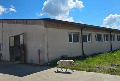 Proprietate specială, 5243 mp în Fărcașa