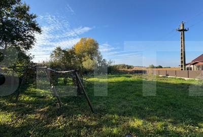 Teren de vânzare, 736 mp, zona Vest - Vorona - 1