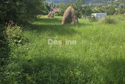 VAND TEREN VALEA DOFTANEI ZONA ERMENEASA 1030 MP - 2