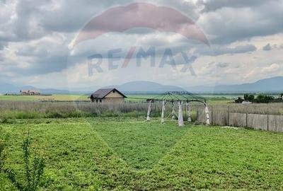 COMISION 0% | Teren Intravilan 517 mp | PUZ Aprobat | Imprejmuit - 11