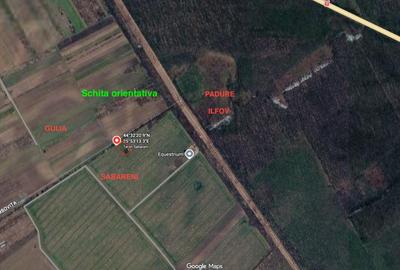 Teren Construcții extravilan de 689 mp, în Săbăreni