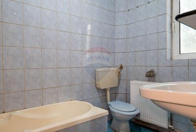 Casă individuală de vanzare + teren intravilan 539 mp - Parc Bazilescu - 24