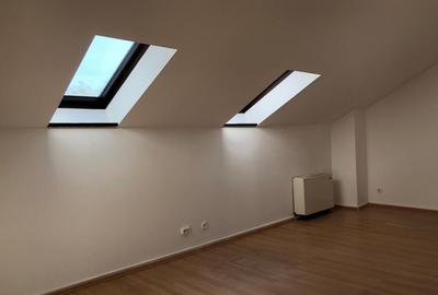 Vila 6 camere cu iesire la lacul Baneasa teren 317 mp - 11