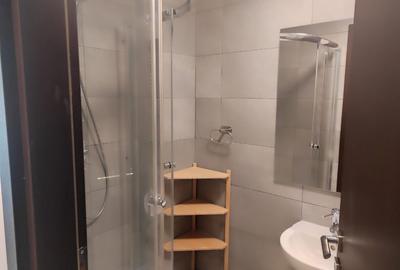 Aviatiei/UpGround,recent renovat,mobilat/utilat lux,centrala termica,parcare - 10