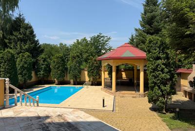 Vila 9 camere cu piscina si teren de 1.000 mp - 10