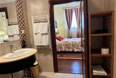 Hotel Boutique 4 stele de vânzare | Timișoara, zonă istorică - 3