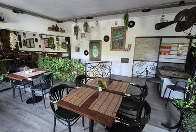 Restaurant, Delfinului, parc Ostrov - 11