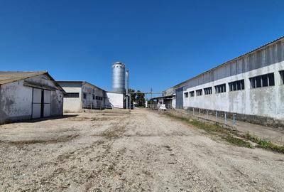 Spațiu Industrial și Logistic - 8