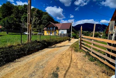 TEREN INTRAVILAN cu UTILITATI – PRIDEL, MĂGURA | PRIVELIȘTE DEOSEBITA/INVESTITIE - 7