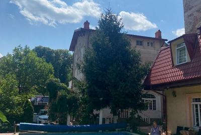 Vilă deosebită cu piscină semiolimpică-Parcul Carol - 13