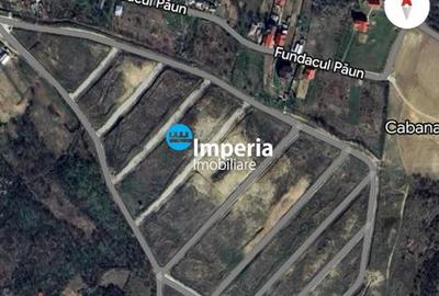 Teren Construcții intravilan de 2000 mp, în Bucium