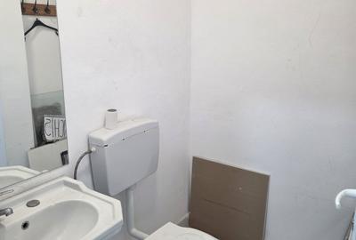 SPAȚIU COMERCIAL DE ÎNCHIRIAT LA MAȘNIȚĂ - 15
