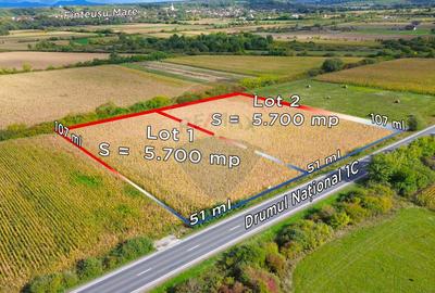 Teren Construcții intravilan de 5700 mp, în Finteușu Mare