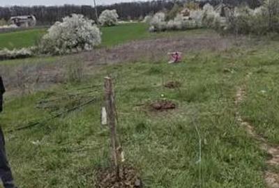 Vanzare teren intravilan Vladiceasca/Snagov langa lac - 7
