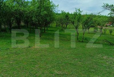 Teren agricol intravilan de 3000 mp, în Central