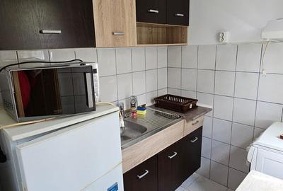Sagului-Musicescu.Mobilat/Utilat.Igienizat! - 8
