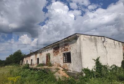 Teren Construcții intravilan de 8000 mp, în Dragomirești