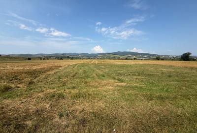 Teren Construcții intravilan de 780 mp, în Partoș