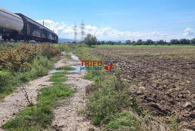 Teren Intravilan, 1ha,  langa noul Mall - 4