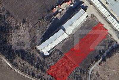 Teren Construcții intravilan de 4800 mp, în Baciu
