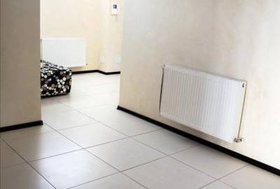 Penthouse 4camere,terasa cu vedere la lac,parcare,gaze,termen lung cu decontare - 8