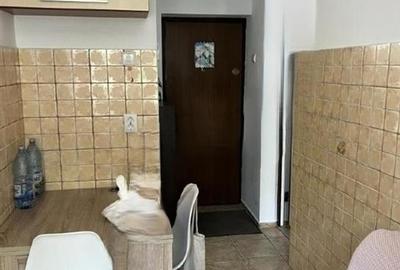 Apartament 1 cameră Podu Ros - 3