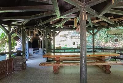 Pensiune in Bucovina - 15