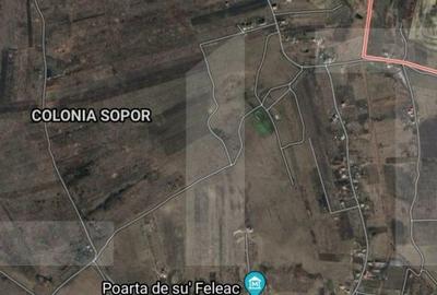 Teren Construcții intravilan de 1072.5 mp, în Sopor