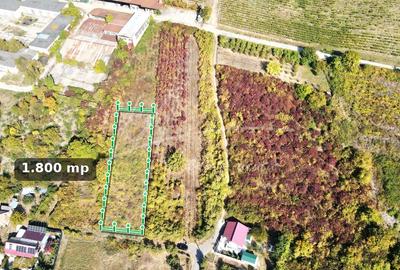 Teren intravilan de 1.800 mp, lângă cramă, Viișoara, Ștefănești, Argeș - 2