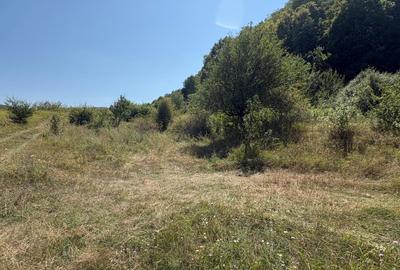 Teren agricol intravilan de 3000 mp, în Nord