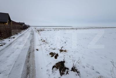 Teren agricol extravilan de 9000 mp, în Tărlungeni