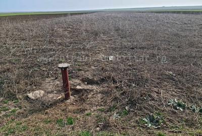 Vânzare teren agricol comasat plus microferma direct la sosea - 3