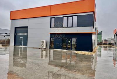 Hala industriala 570mp temperatura controlata Chiajna - 1