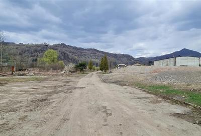 Vanzare Teren 1,7HA centru Petrosani - 2