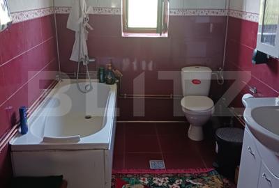 Casă individuală cu 2 camere în Brad