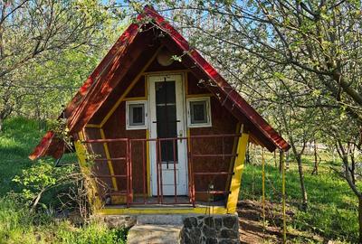 Proprietate 4200 mp Căndărăi cu cabană, livadă și anexe - 4