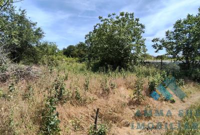 Teren Intravilan - 592 mp - Scolii / Astrelor - Zona de case - 3