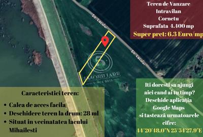 Teren agricol intravilan de 4472 mp, în Cornetu