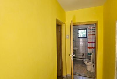 Casa zona Lunca Cetatui - 7