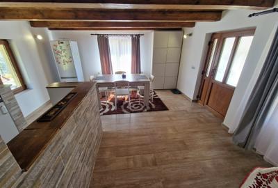 Cabana noua la Rasca cu teren de 6000 mp - 7