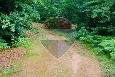De vânzare teren intravilan 3,690mp Suncuius - 15