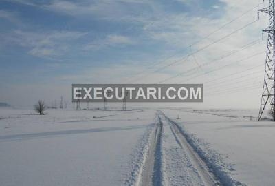 Teren în Dascălu