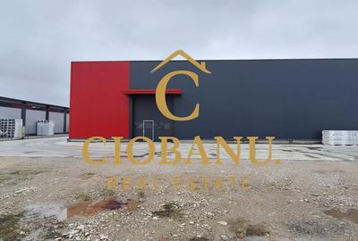 Hale industriale+Cladire de Birouri de inchiriat zona Aeroport - 4