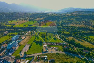 Teren intravilan 7.660 mp lângă Bran, panoramă 360°, comision 0% - 7